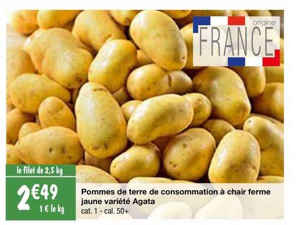 pommes de terre de consommation à chair ferme jaune variété agata