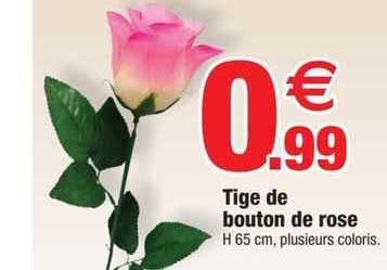 tige de bouton de rose