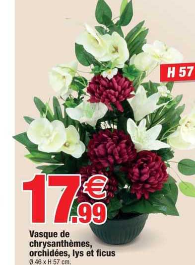 Vasque De Chrysanthèmes, Orchidées, Lys Et Ficus