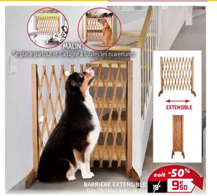 Barrière Extensible