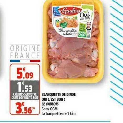 blanquette de dinde oui c'est bon ! le gaulois