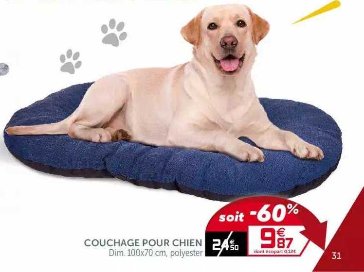 Couchage Pour Chien