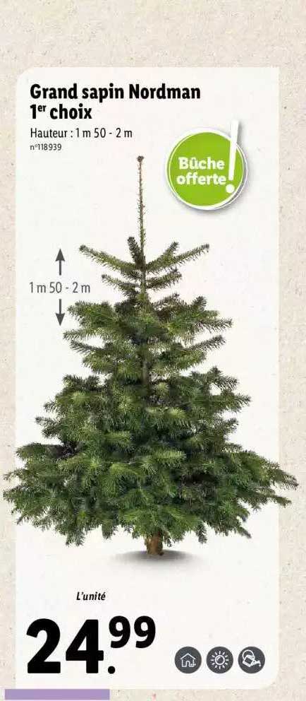 grand sapin nordman 1er choix