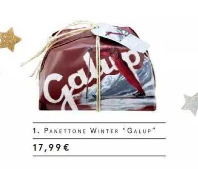 panettone winter "galup"