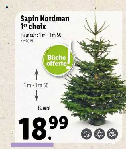 sapin nordman 1er choix