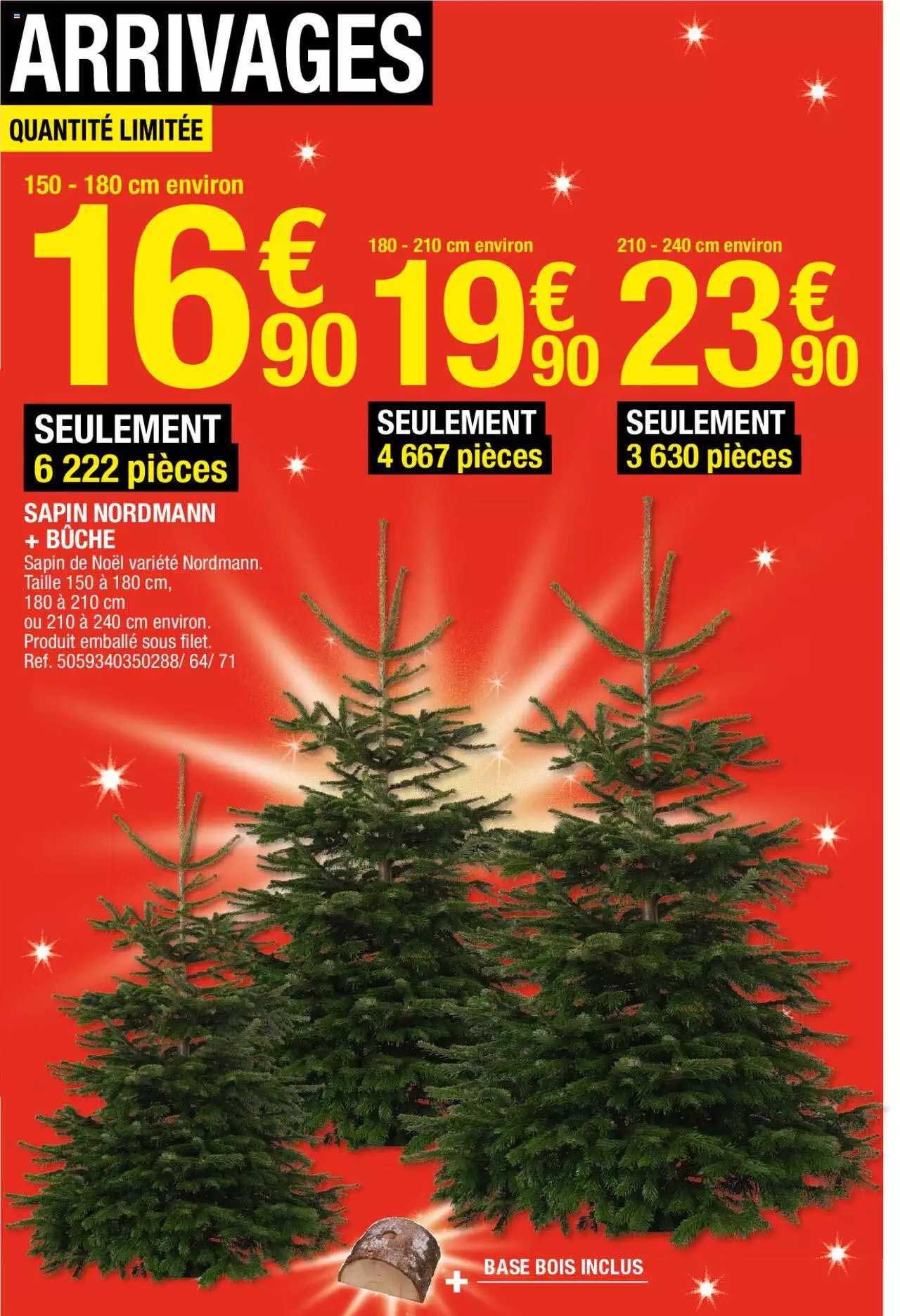 sapin nordmann + bûche