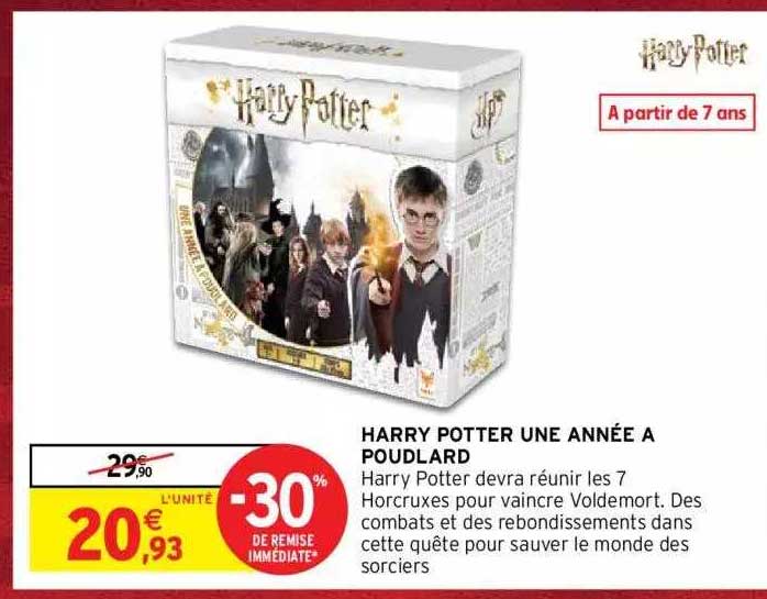 harry potter une année à poudlard