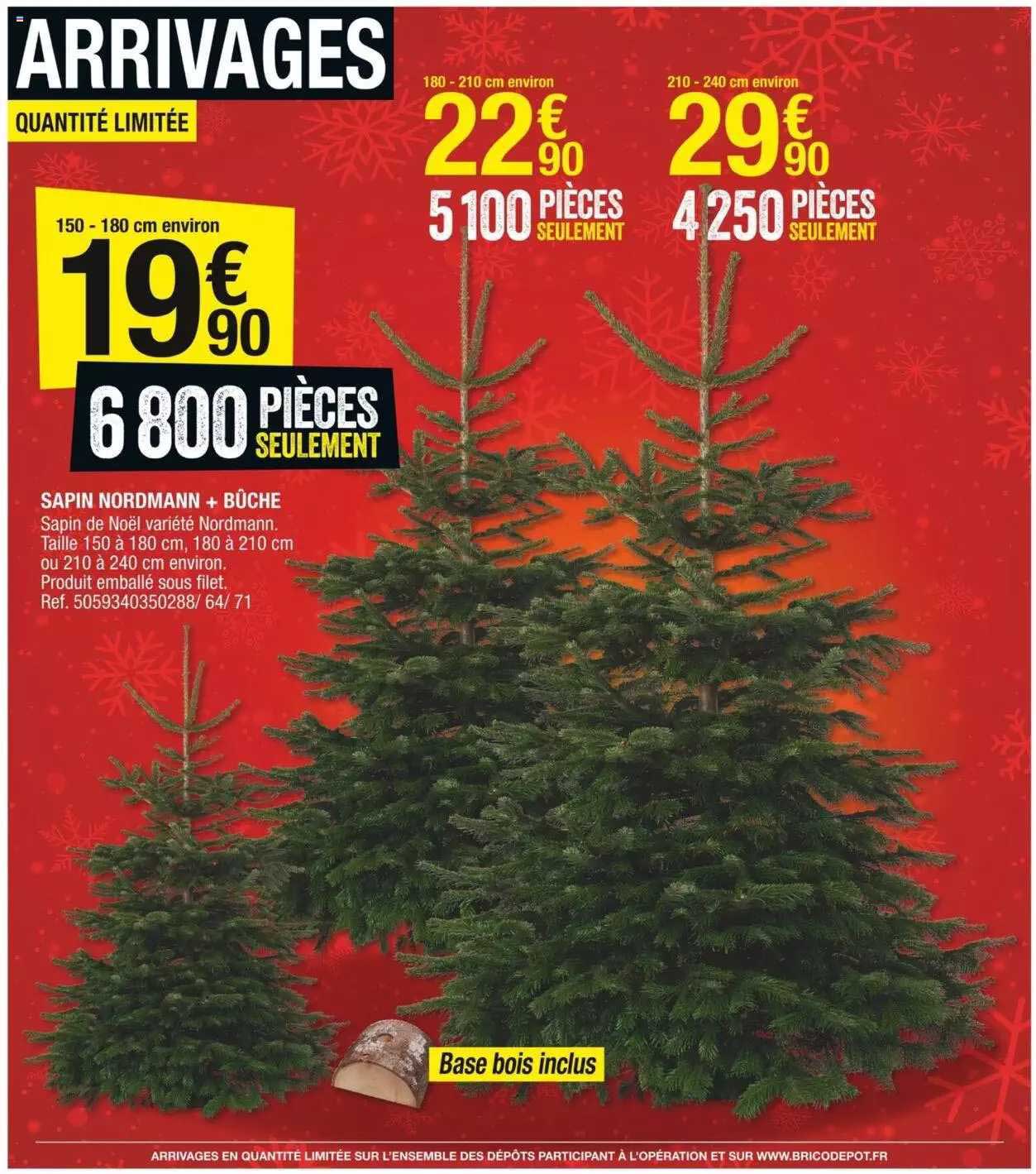 sapin nordmann + bûche