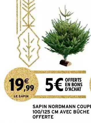 Sapin Nordmann Coupe 100-125 Cm Avec Bûche Offerte