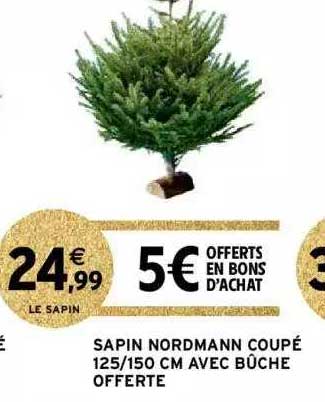 sapin nordmann coupé 125-150 cm avec bûche offerte