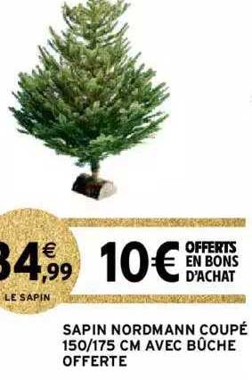 sapin nordmann coupé 150-175 cm avec bûche offerte