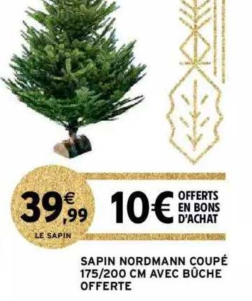 sapin nordmann coupé 175-200 cm avec bûche offerte