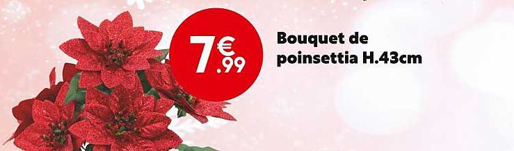 bouquet de poinsettia
