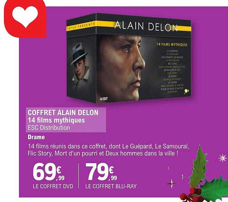 coffret alain delon 14 films mythiques