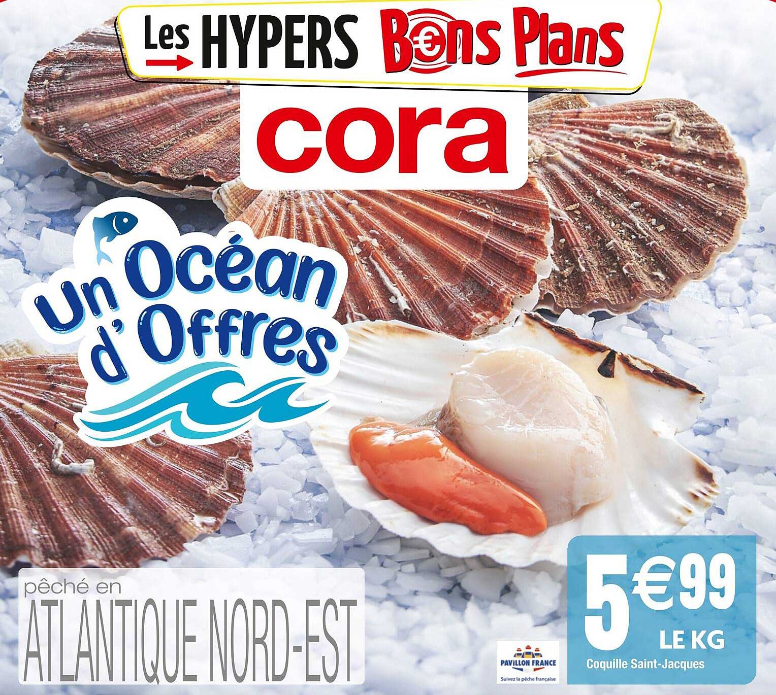 coquille saint-jacques