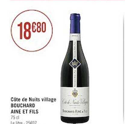 côte de nuits village bouchard aine et fils