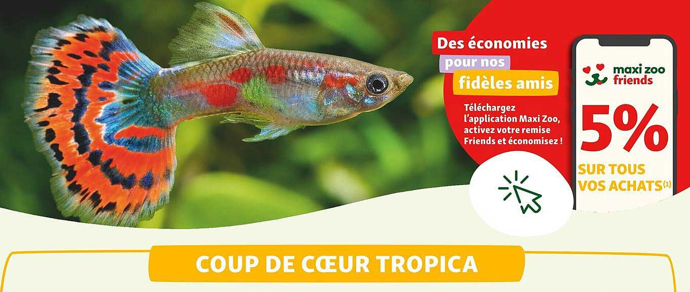 coup de cœur tropica