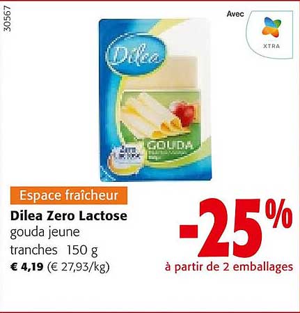 dilea zéro lactose gouda jeune tranches