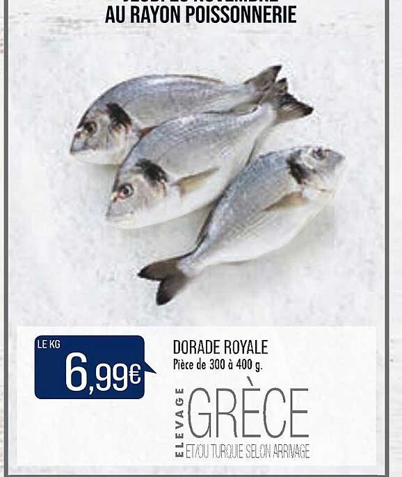 Dorade Royale
