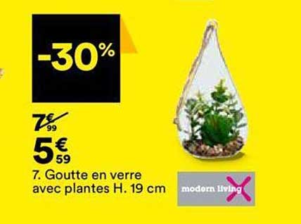 goutte en verre avec plantes h. 19 cm modern living