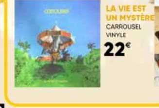 la vie est un mystère