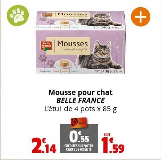 Mousse Pour Chat Belle France