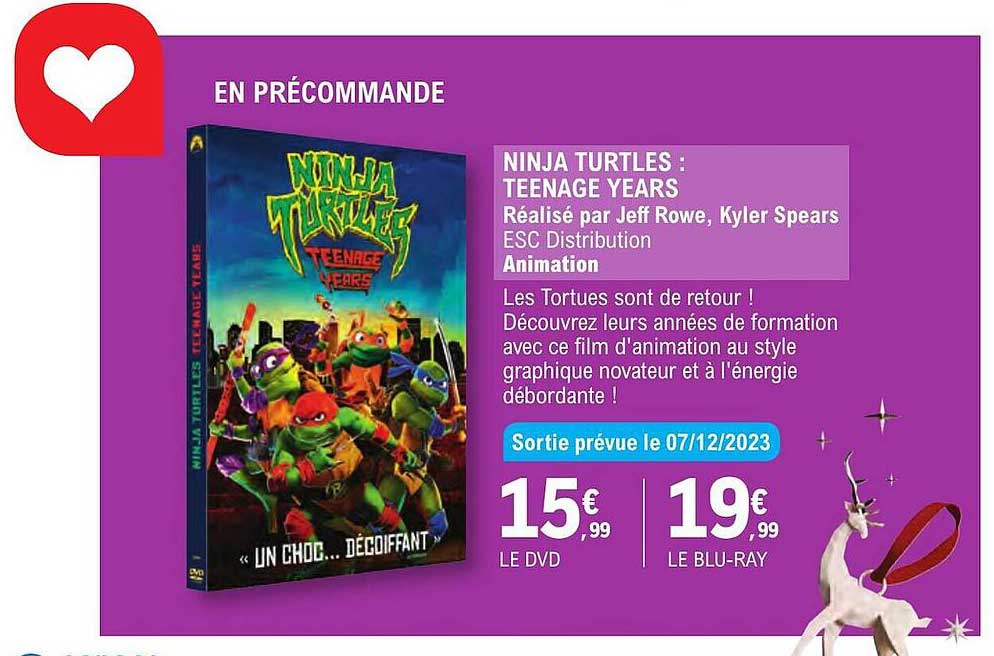 ninja turtles : teenage years