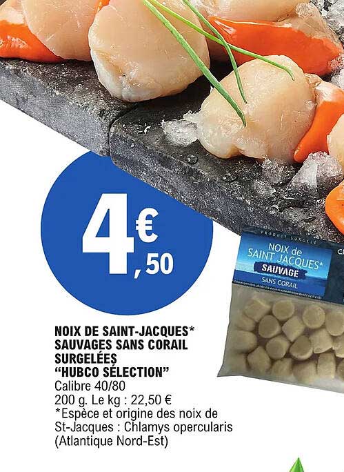 noix de saint-jacques sauvages sans corail surgelées "hubco sélection"