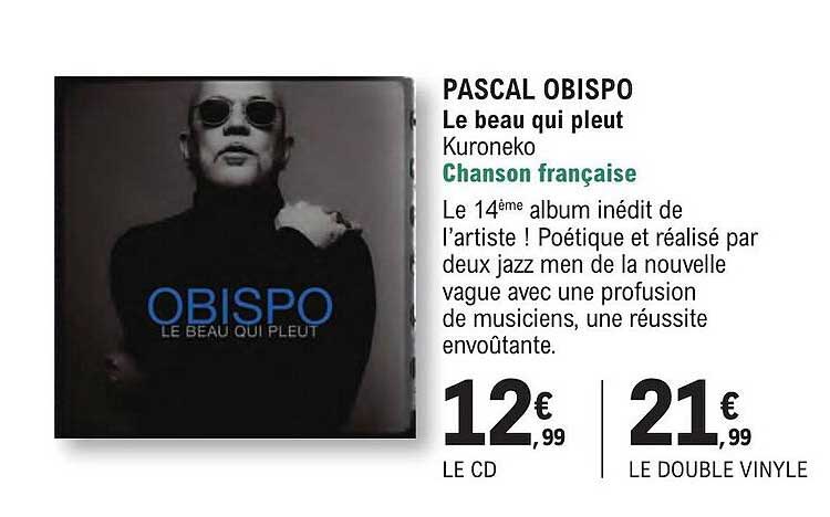 pascal obispo le beau qui pleut chanson française