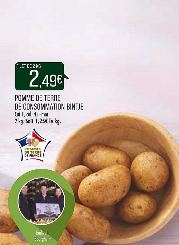 pomme de terre de consommation bintje