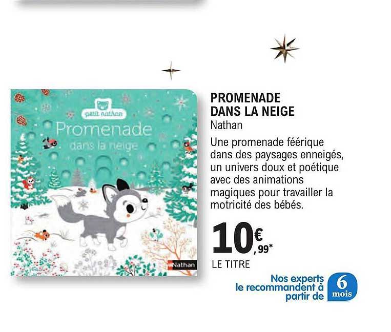 promenade dans la neige