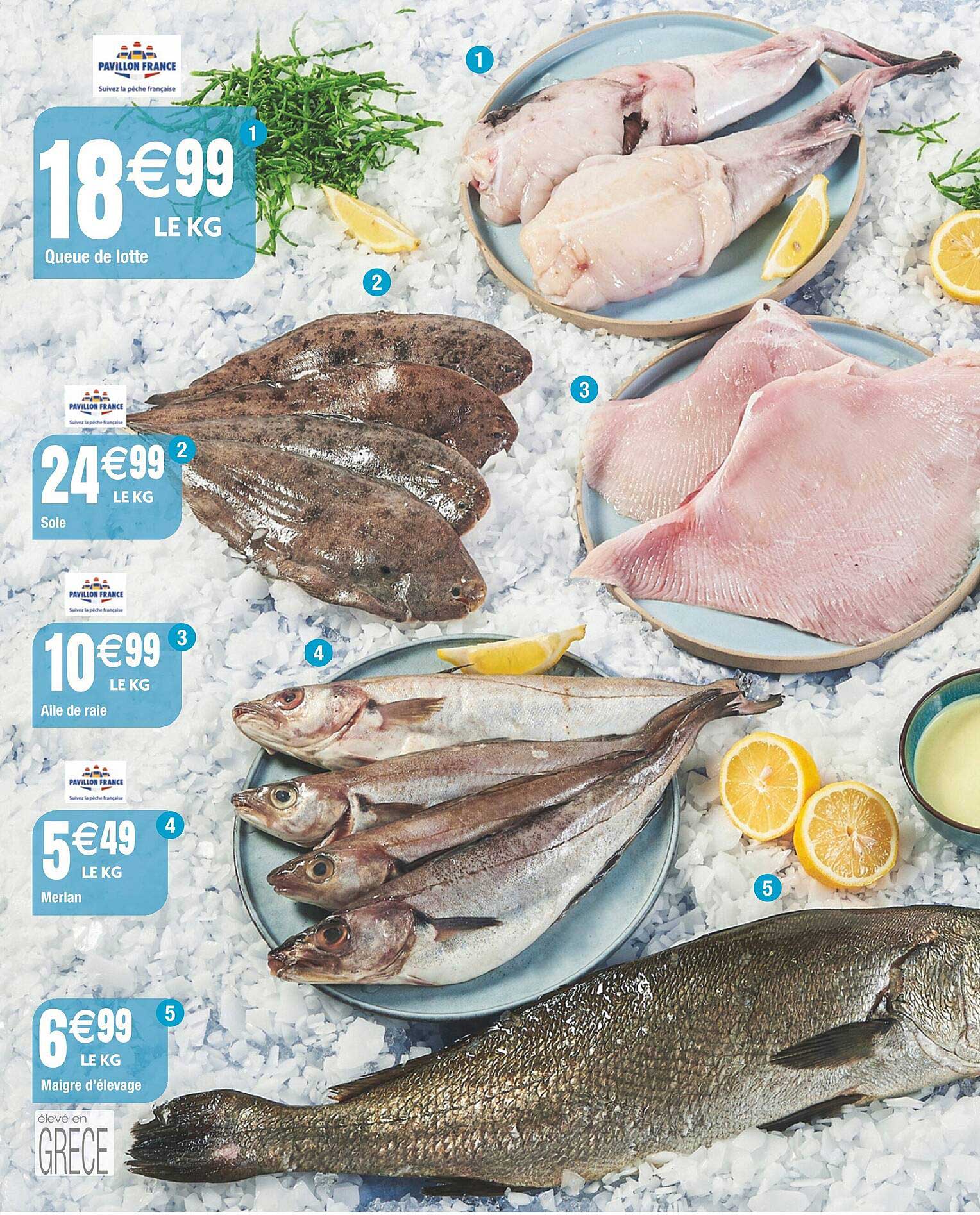 queue de lotte, sole, aile de raie, merlan, maigre d'élevage