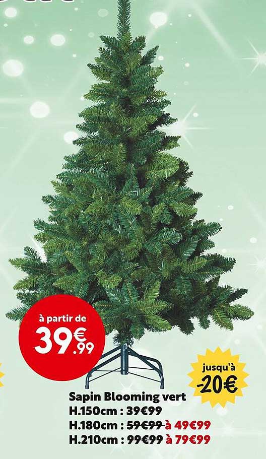 Sapin Blooming Vert