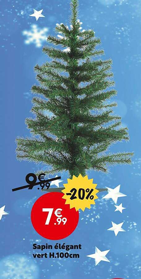 sapin élégant vert