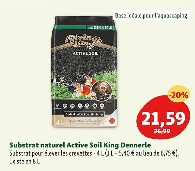 substrat naturel active soil king dennerle