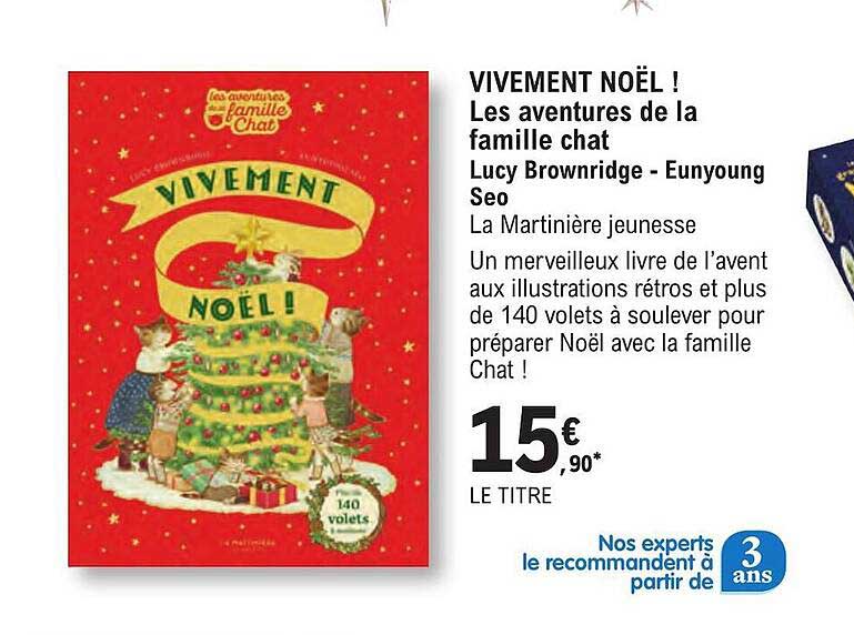 vivement noël ! les aventures de la famille chat - lucy brownridge - eunyoung seo