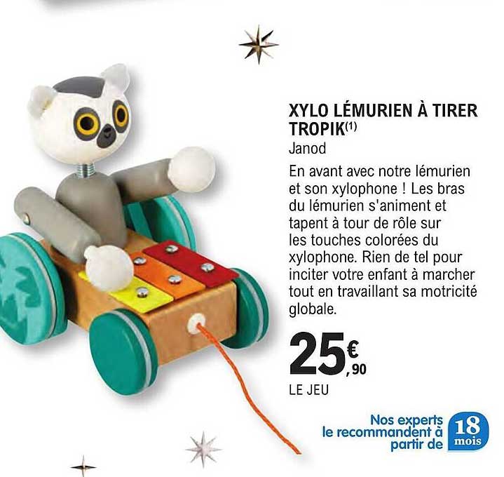 xylo lémurien à tirer tropik janod