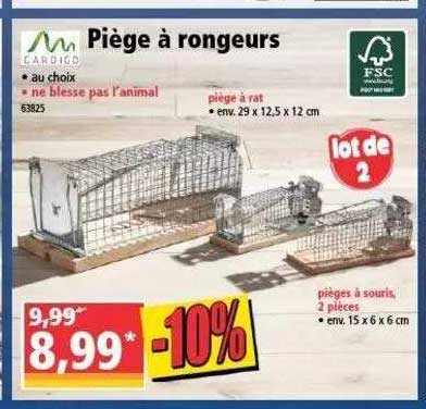 piège à rongeurs