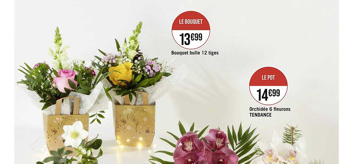 bouquet bulle 12 tiges, orchidée 6 fleurons tendance