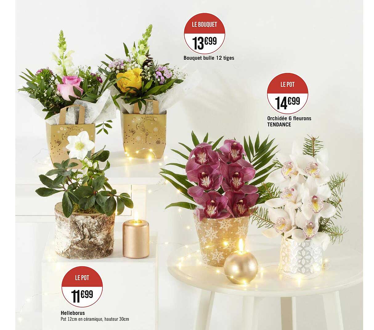 helleborus, bouquet bulle 12 tiges, orchidée 6 fleurons tendance