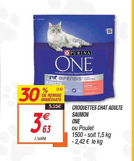 Croquettes Chat Adulte Saumon One 30% De Remise Immédiate