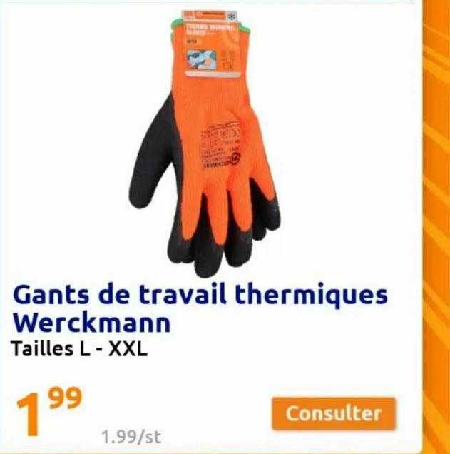 Gants De Travail Thermiques Werckmann