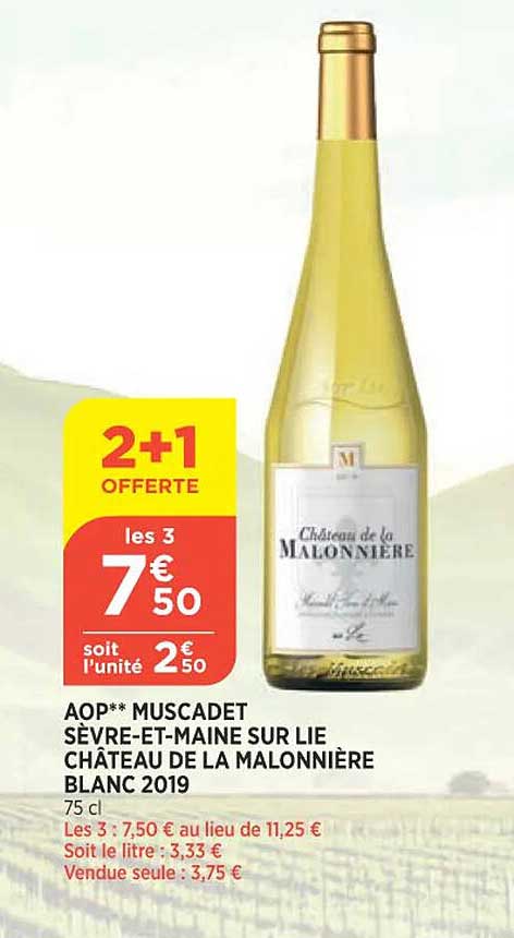 aop muscadet sèvre-et-maine sur lie château de la malonnière blanc 2019