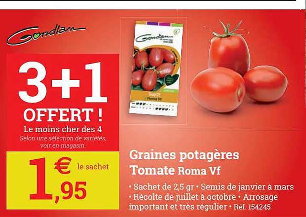 graines potagères tomate roma vf