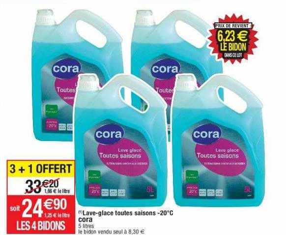 lave-glace toutes saison -20° cora