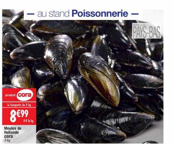 moules de holland cora
