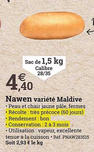 nawen variété maldive