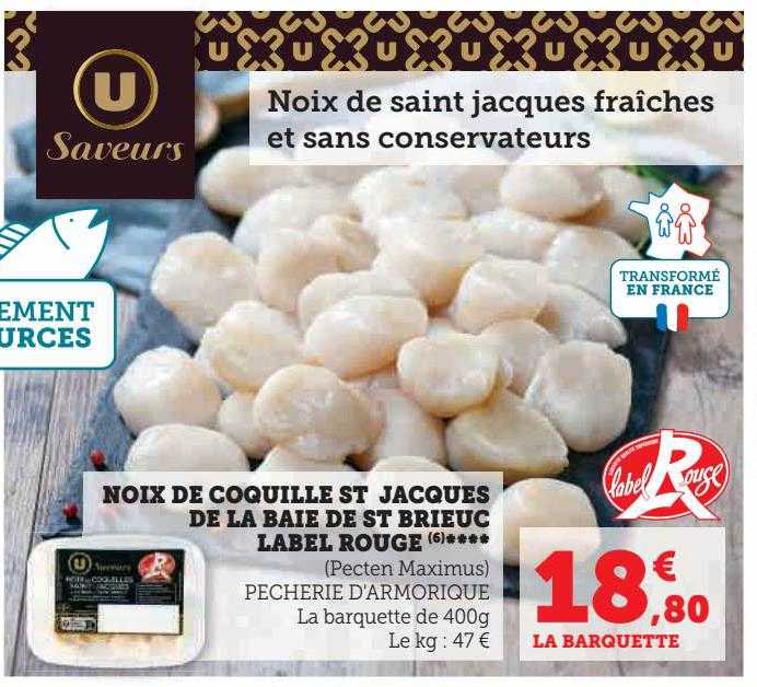noix de coquille st jacques de la baie de st brieuc label rouge