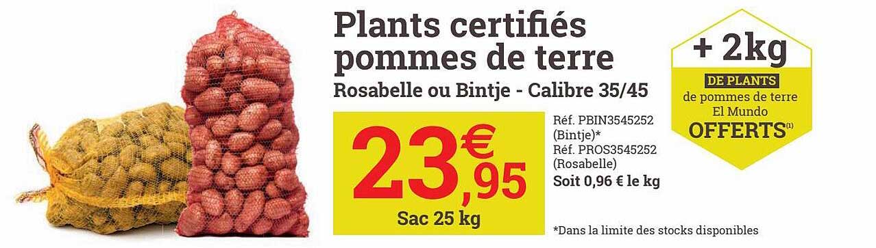 plants cerfitiés pommes de terre