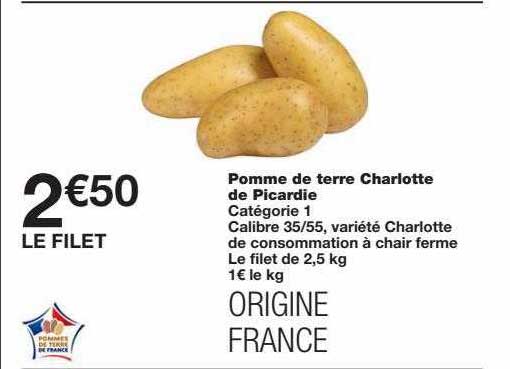 pomme de terre charlotte de picardie